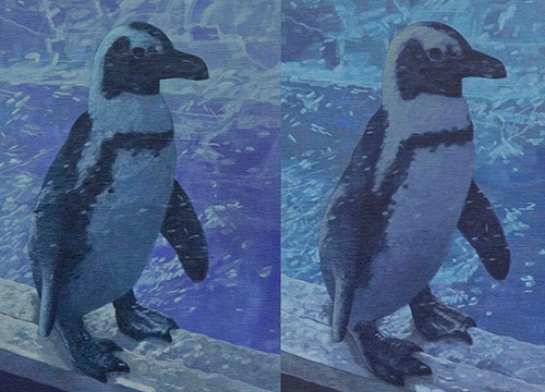 Blue Aquaria (Two Penguin)