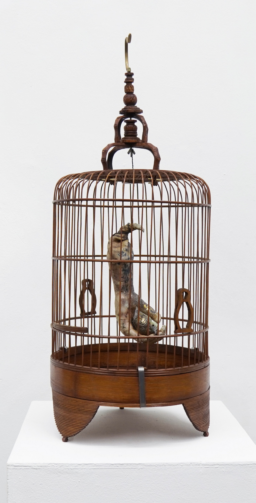 Bird Cage – James Seet PREVIEW