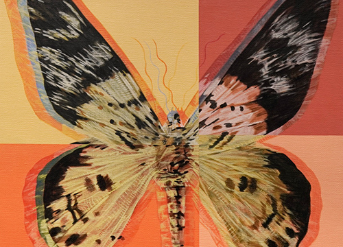 Butterfly II 