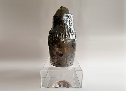 ISSUES: Anti-Poaching