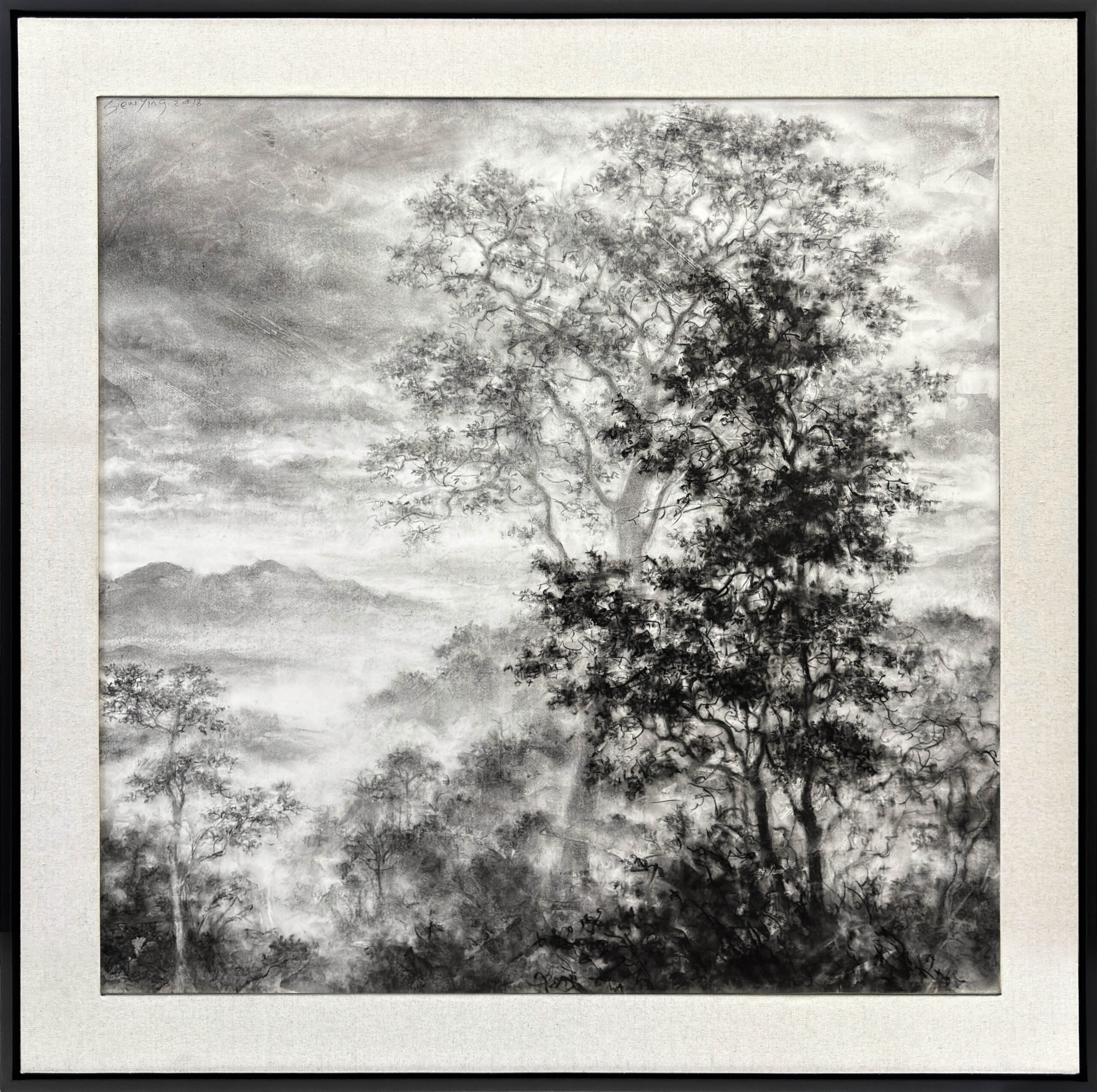 South Wind