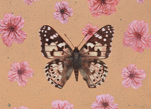 Instinct of Nature (Butterfly)