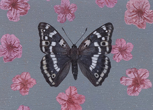 Instinct of Nature (Butterfly II)