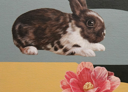 Still Life with Rabbit and Blossom