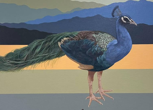 Dual Serenity, Peacocks at Dawn