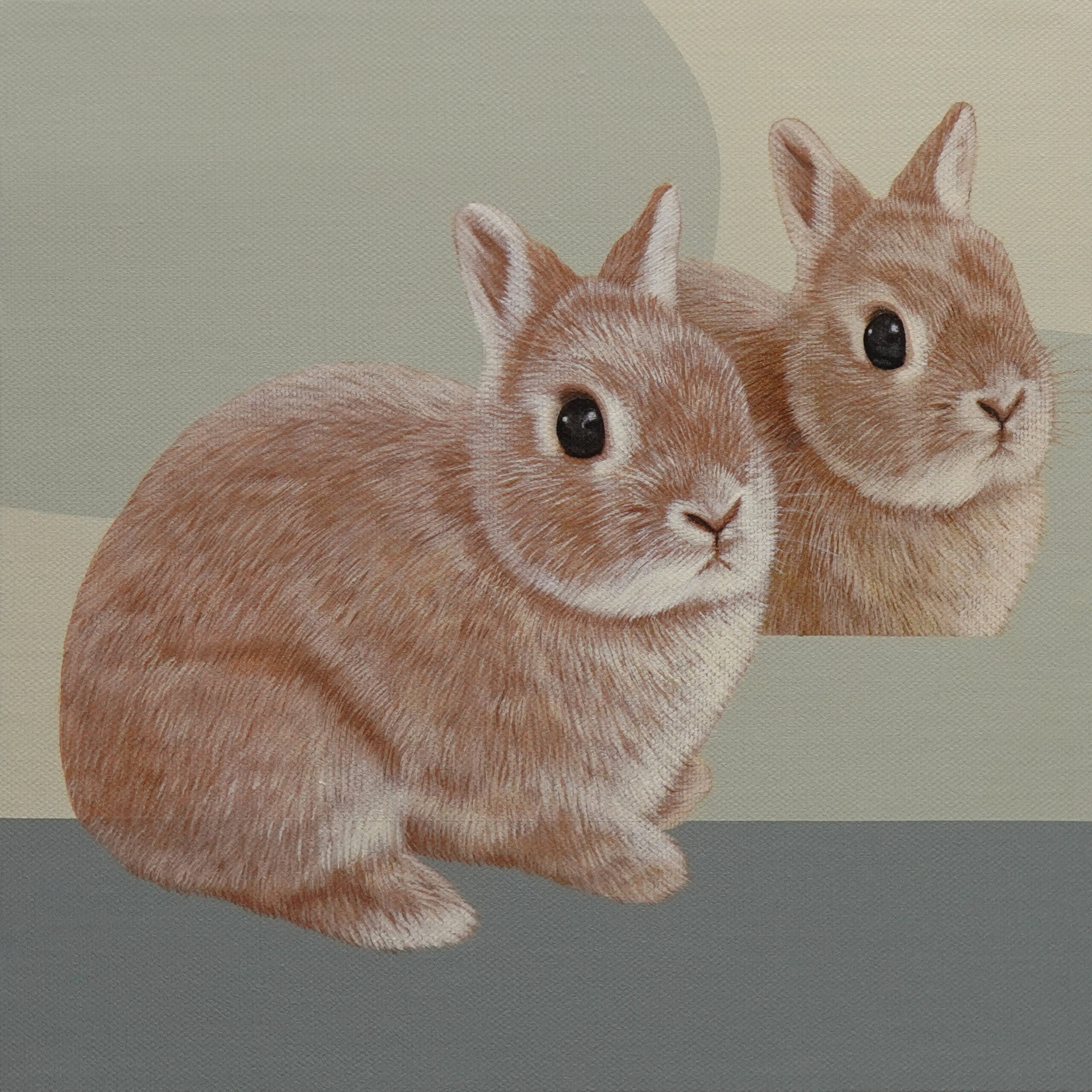 Still Life with Rabbit 5