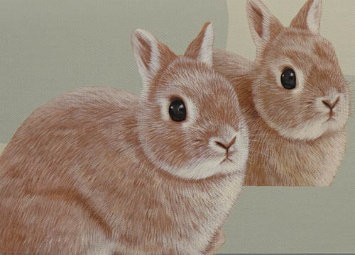 Still Life with Rabbit 5