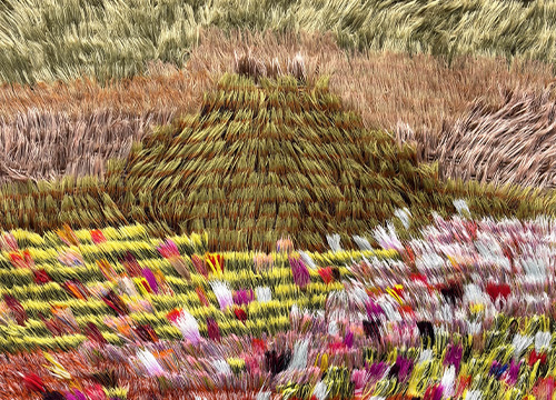 Autumn Bloom Among Mountains 