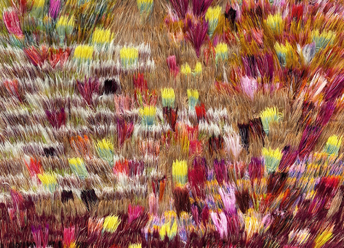 Evening Bloom Before Rest