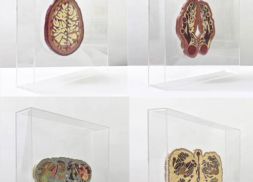 Kepala Berfikir,Tangan Berdoa, Bahu Memikul & Pelvis Mendukung (Tissue Series)