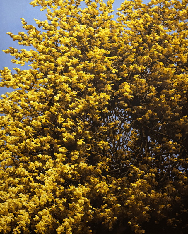 Echoes in Gold
