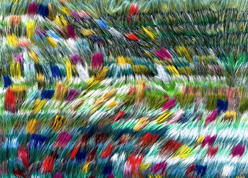 The Meadow Beneath Moving Light