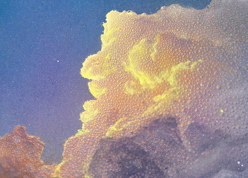 Cumulus of Times: Afterglow