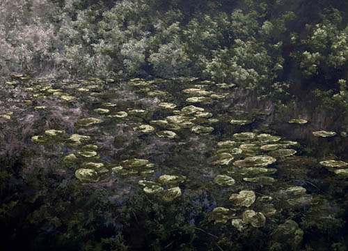 I Found the Pond 
