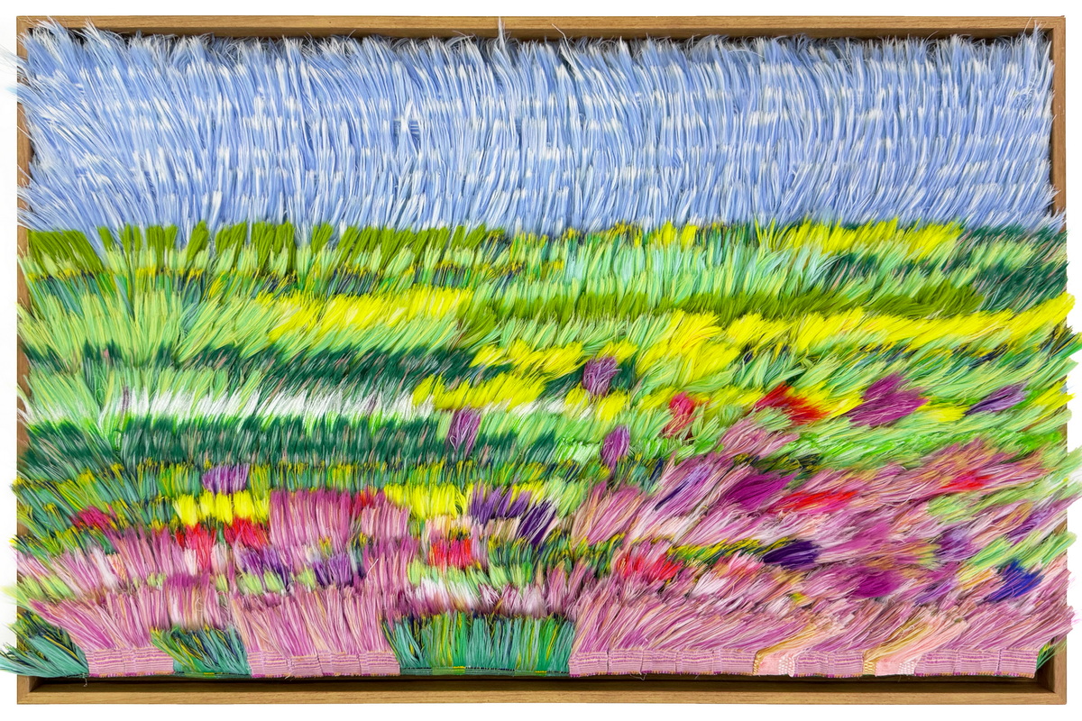 A Meadow in Full Bloom