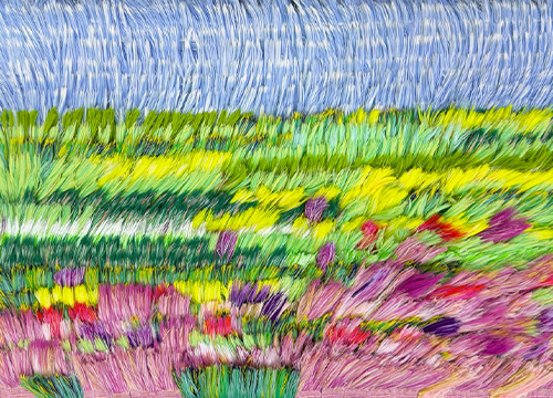 A Meadow in Full Bloom