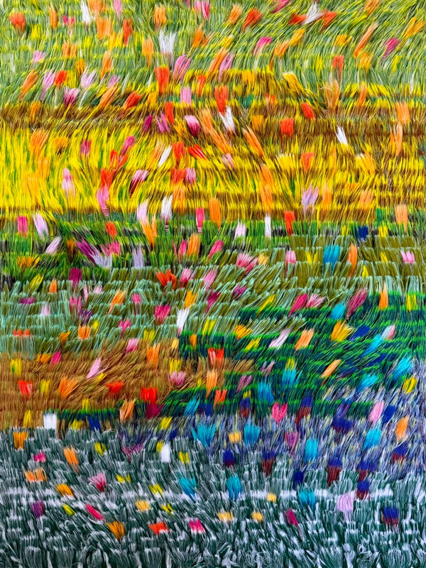 A Field Full of Light