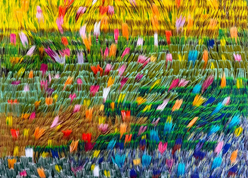 A Field Full of Light
