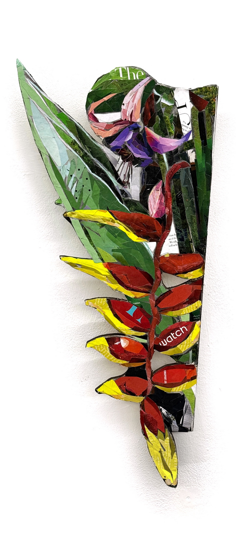 Heliconia
