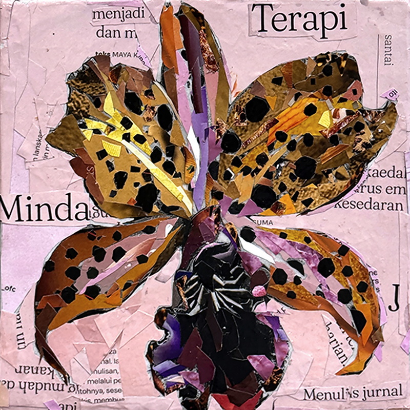 Orchid Daylight
