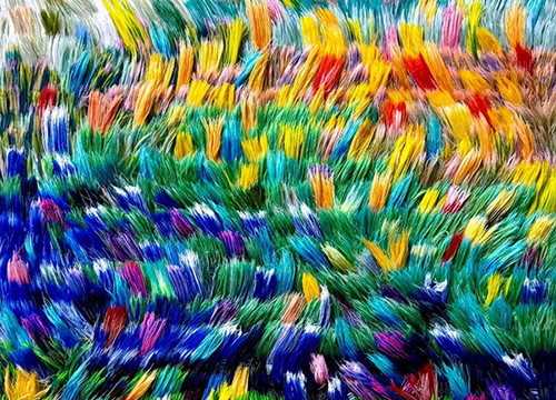 A River of Light Through Blooming Fields 3