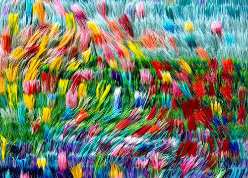 A River of Light Through Blooming Fields 4