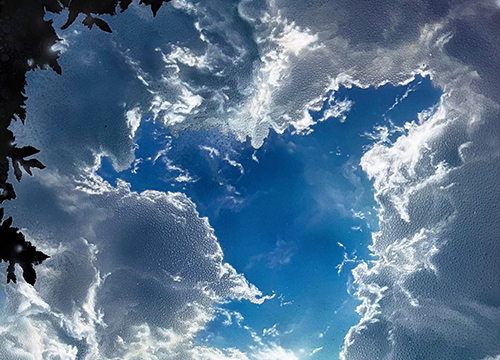 Blessings From Above