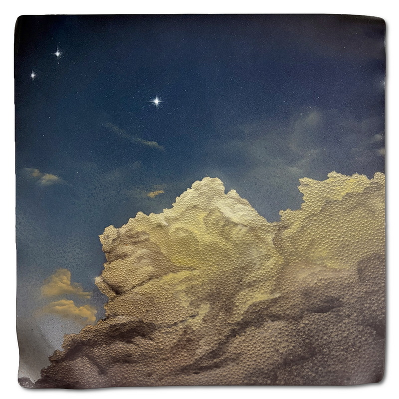 Blooming Under Gloom VII