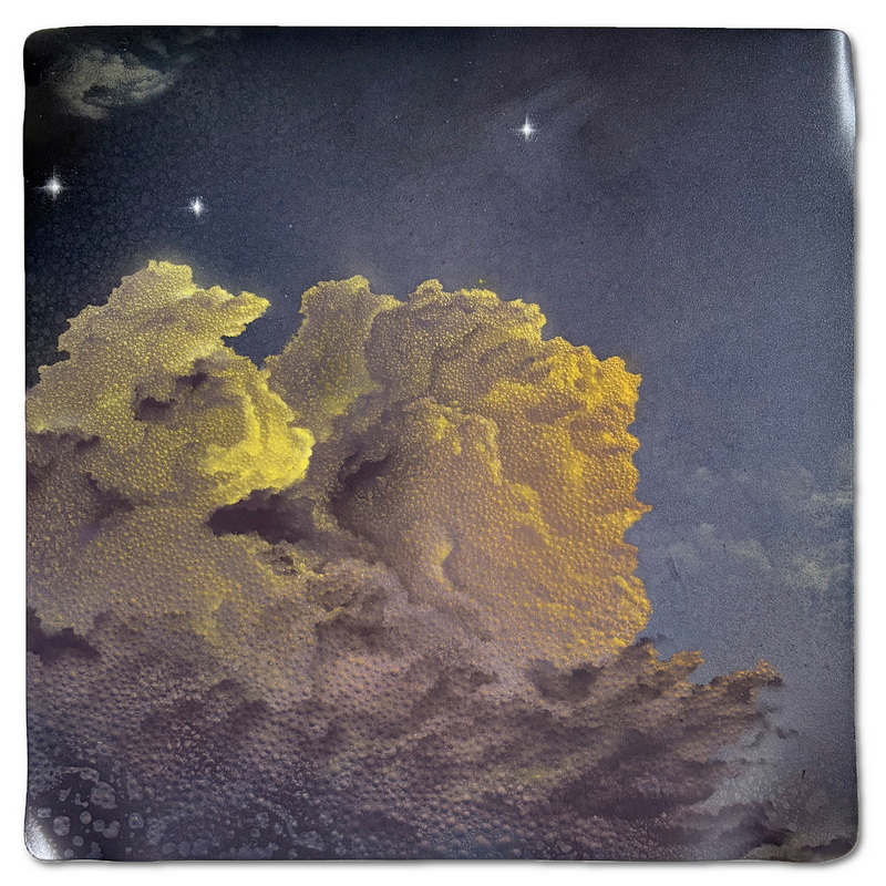 Blooming Under Gloom VIII