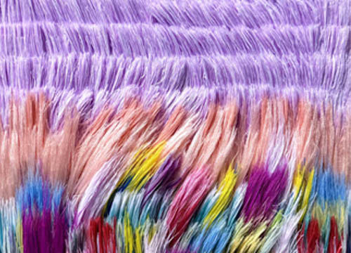 When the Wind Passes Through Violet Dreams
