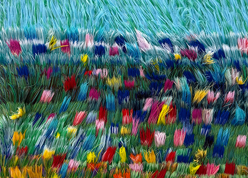 The Hour When Flowers Begin to Wake