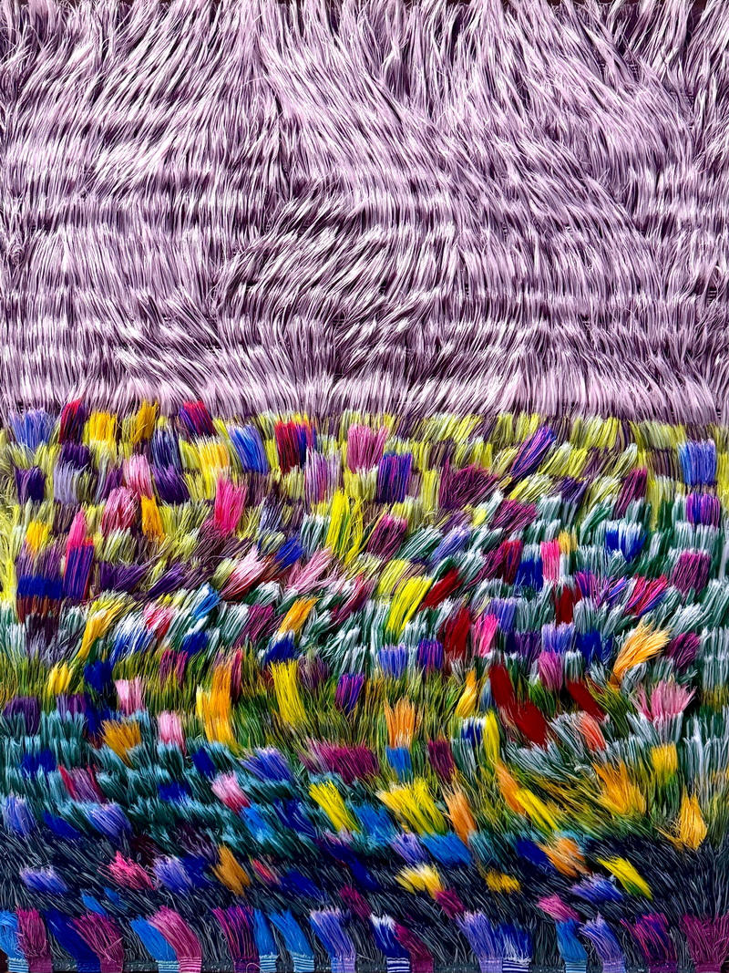 Where Lavender Dreams Begin to Bloom